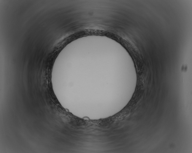 X0000089400870200707131738