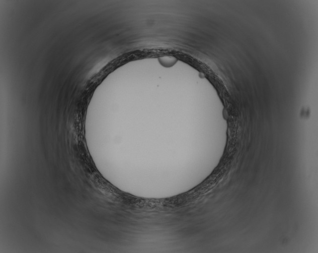 X0000089400871200707131738