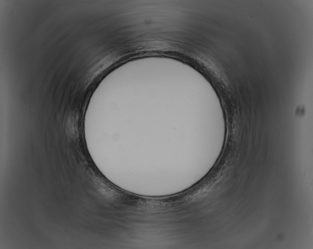 X0000089400873200707131738
