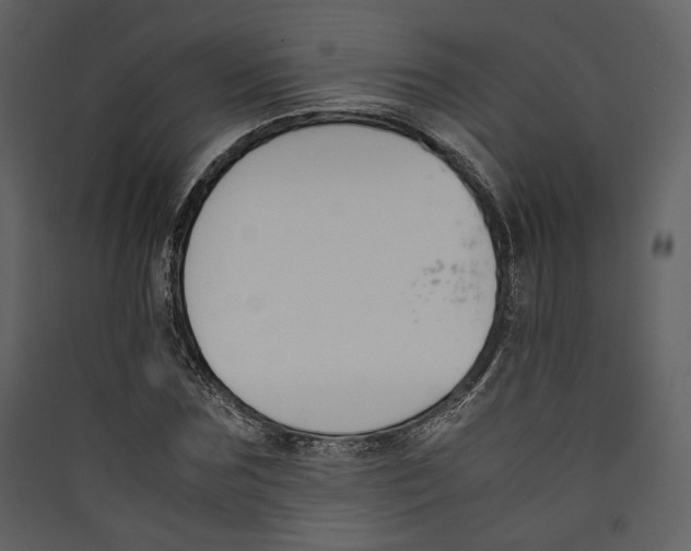 X0000089400875200707131738