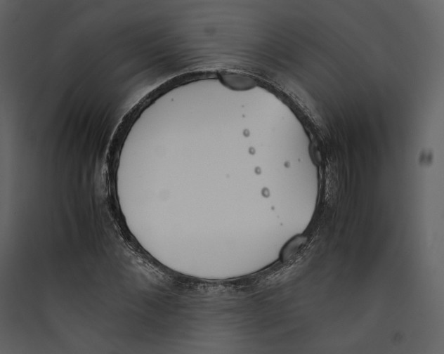 X0000089400876200707131738
