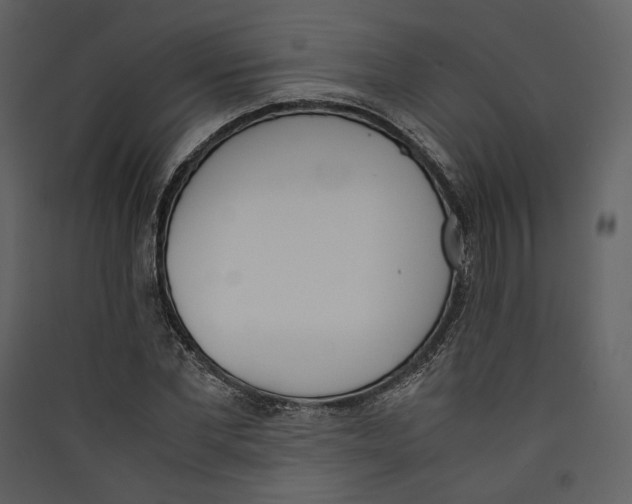 X0000089400877200707131738