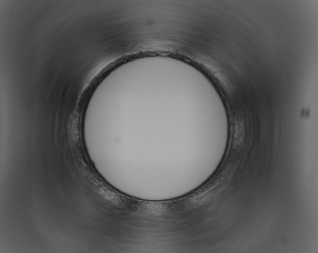 X0000089400878200707131738