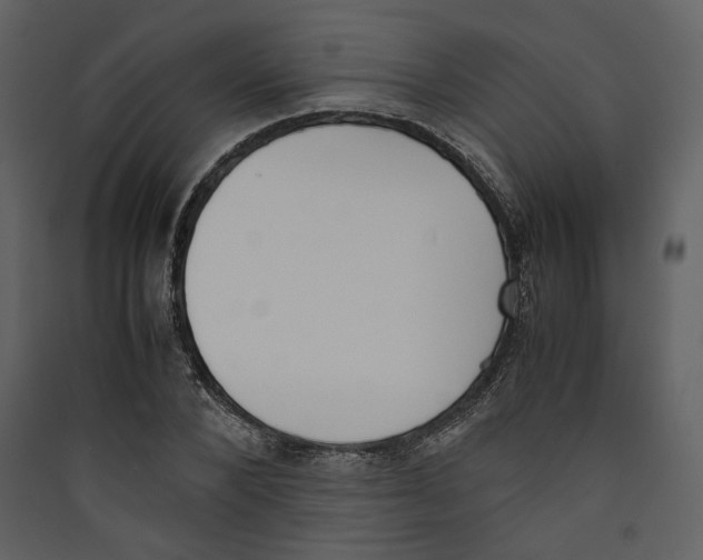 X0000089400880200707131738