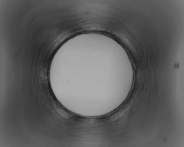 X0000089400881200707131738