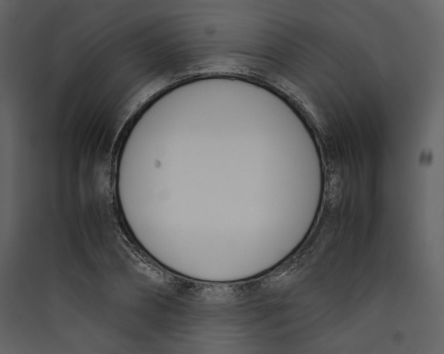 X0000089400882200707131738