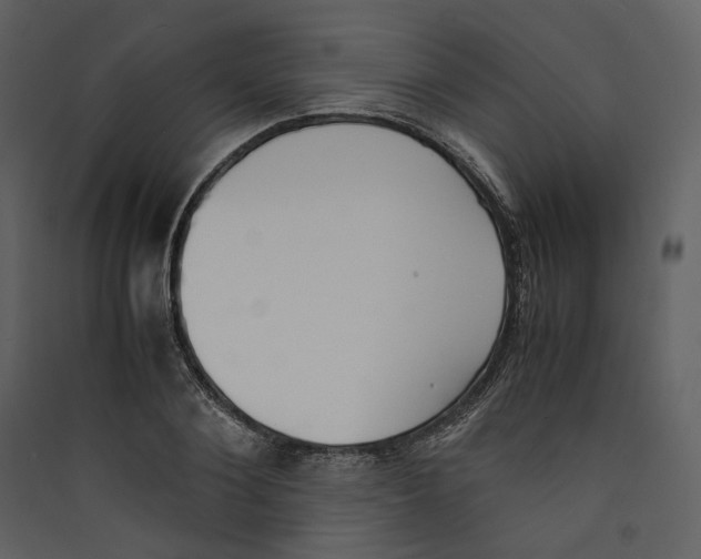X0000089400884200707131738