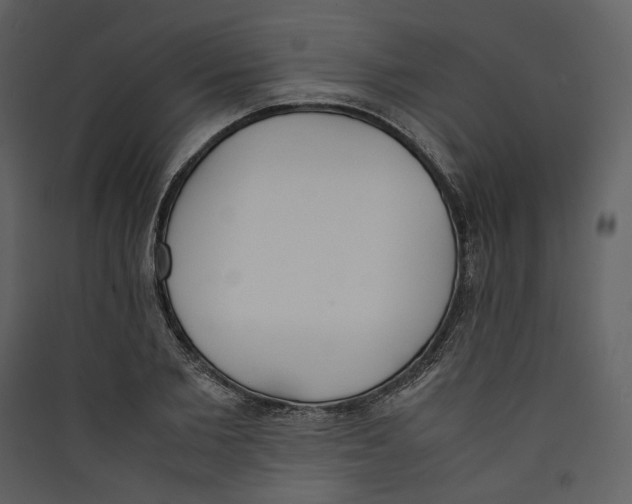X0000089400885200707131738