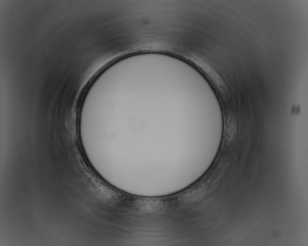 X0000089400886200707131738