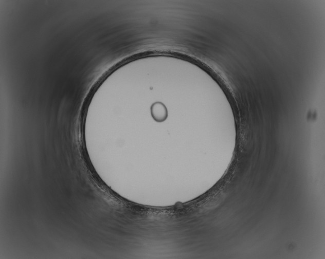 X0000089400887200707131738