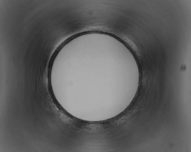 X0000089400888200707131738