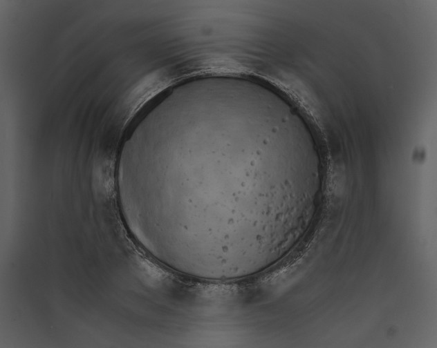 X0000089400889200707131738
