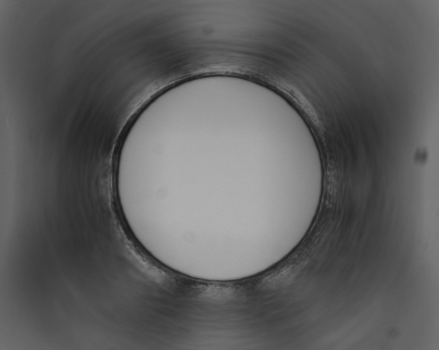 X0000089400890200707131738