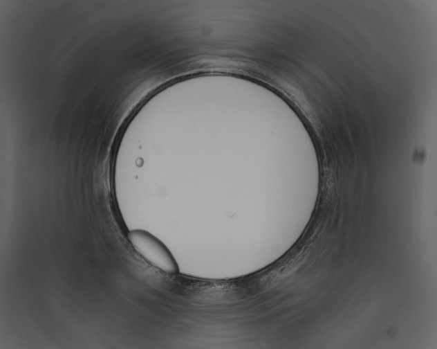 X0000089400891200707131738