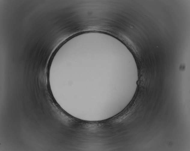 X0000089400892200707131738