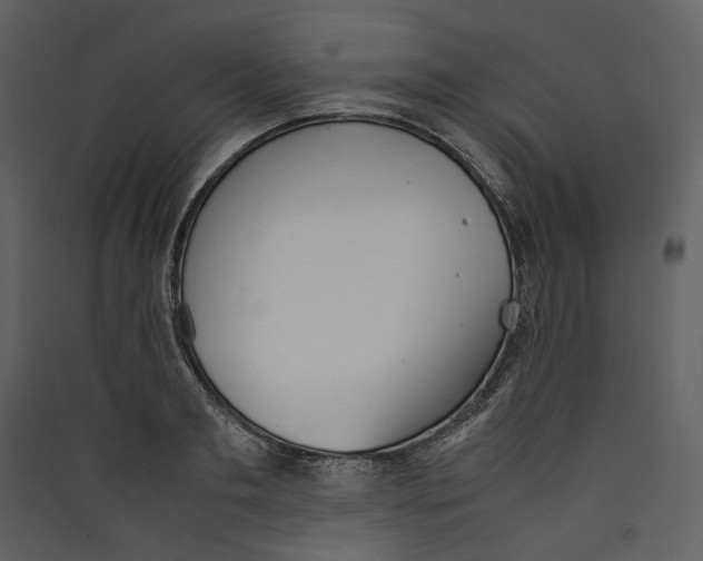 X0000089400893200707131738