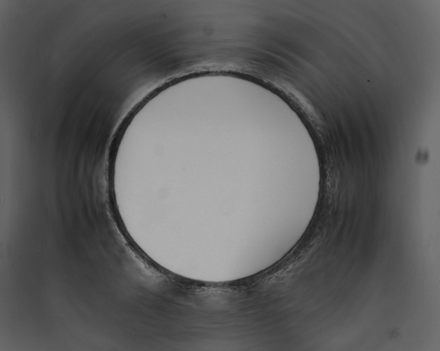 X0000089400894200707131738