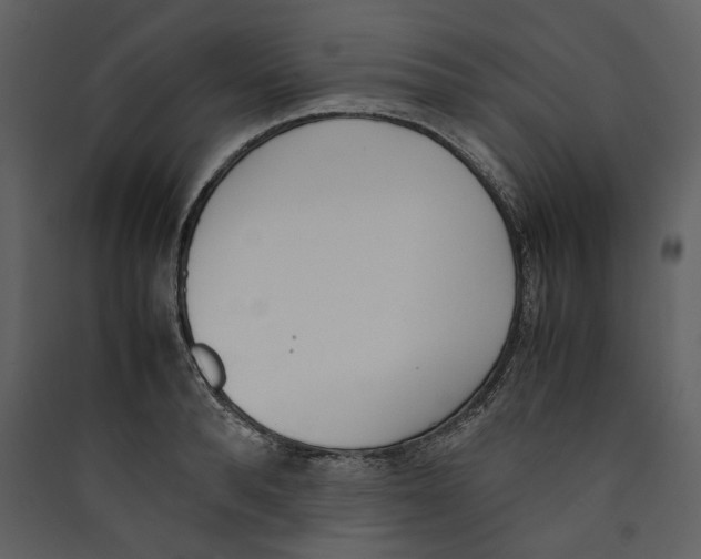 X0000089400896200707131738