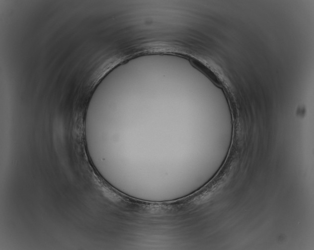 X0000089400897200707131738