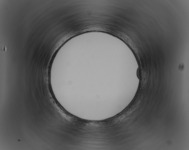 X0000089400898200707131738