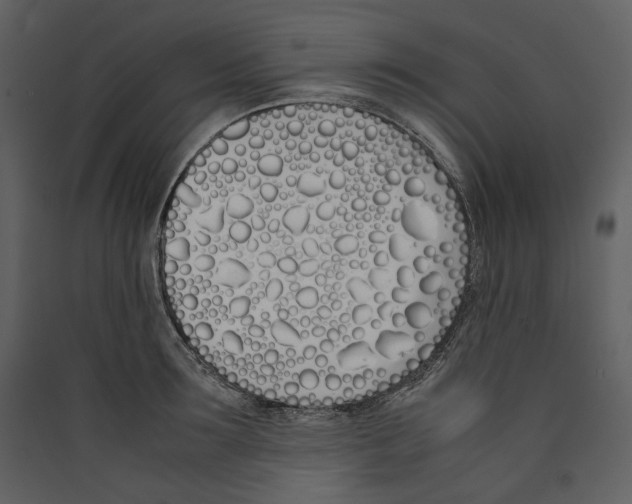 X0000089400899200707131738