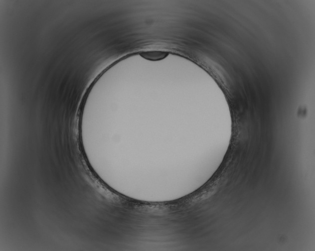 X0000089400900200707131738