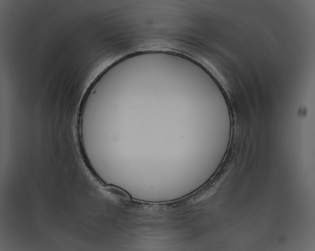 X0000089400901200707131738