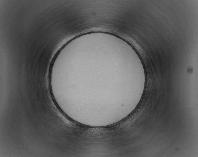 X0000089400902200707131738