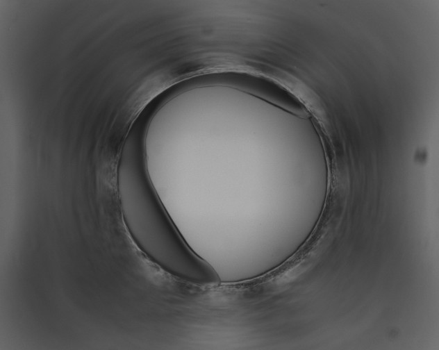 X0000089400905200707131737