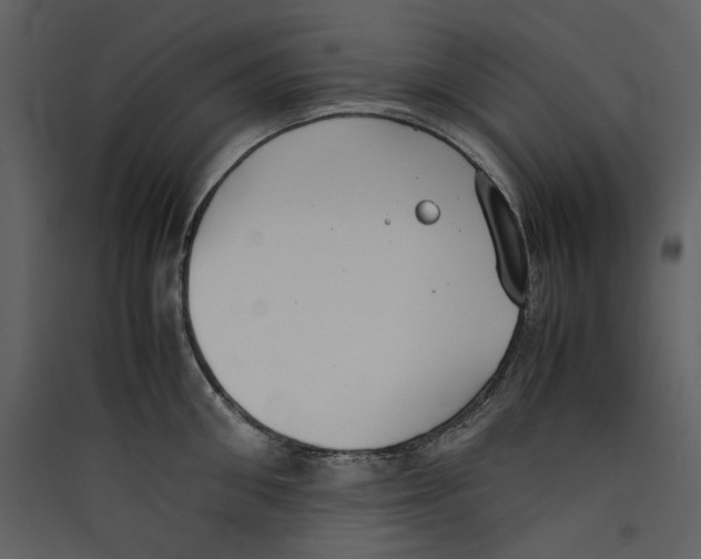 X0000089400906200707131737