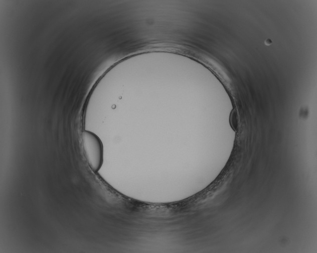 X0000089400907200707131737
