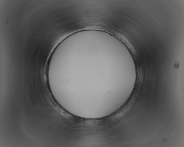 X0000089400908200707131737