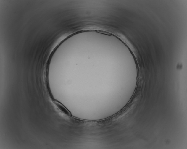 X0000089400909200707131737