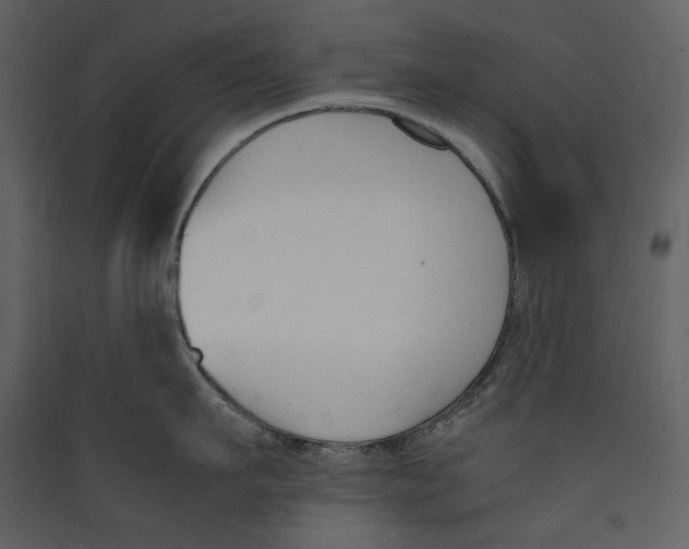 X0000089400911200707131737