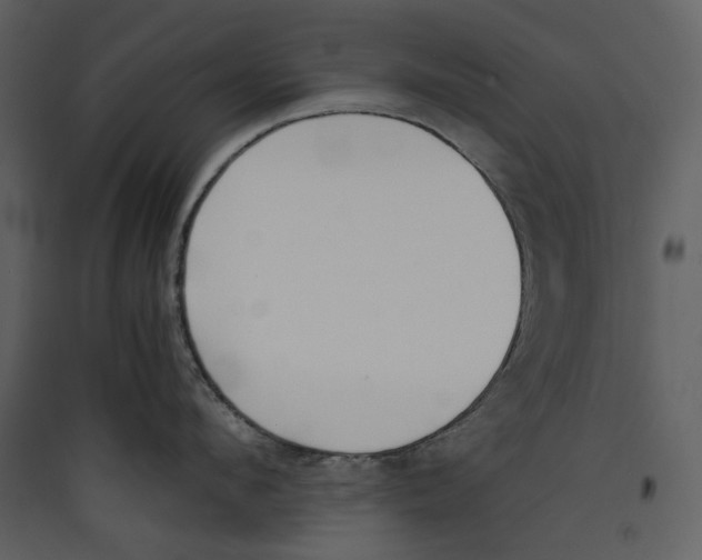 X0000089400912200707131737