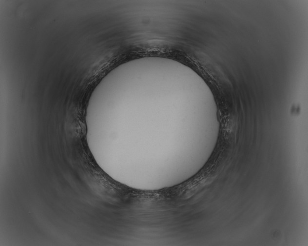 X0000089400916200707131737