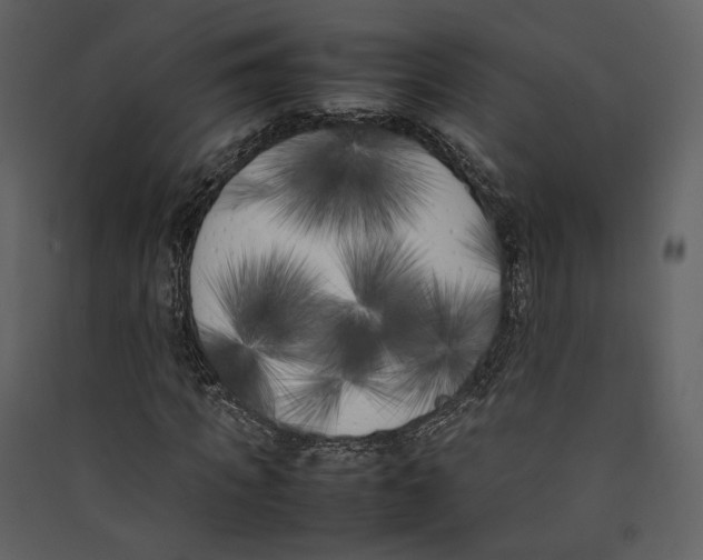 X0000089400917200707131737