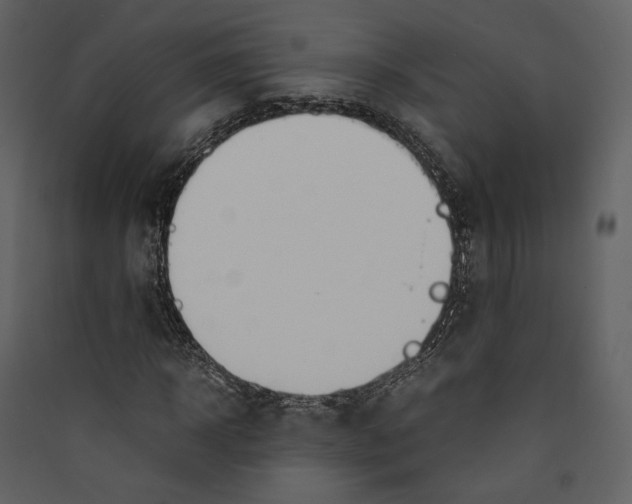 X0000089400918200707131737