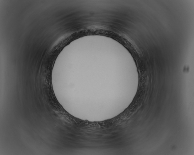 X0000089400919200707131737