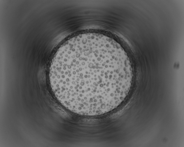 X0000089400921200707131737