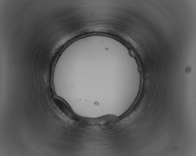 X0000089400922200707131737