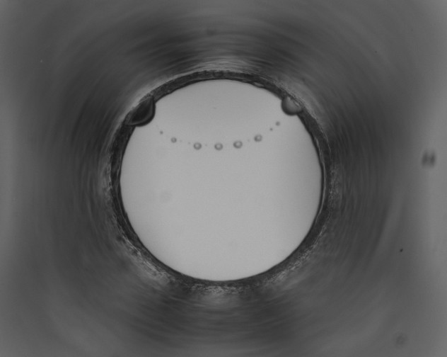 X0000089400923200707131737
