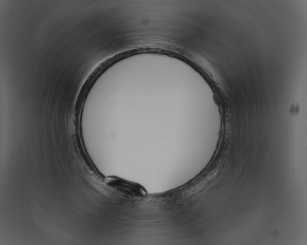 X0000089400924200707131737