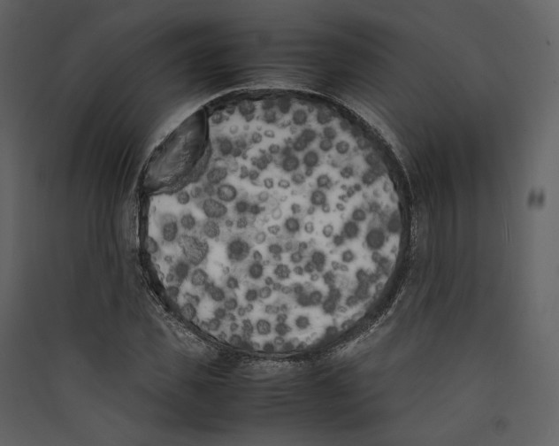 X0000089400925200707131737