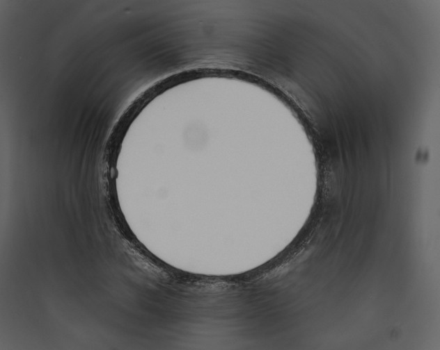 X0000089400926200707131737