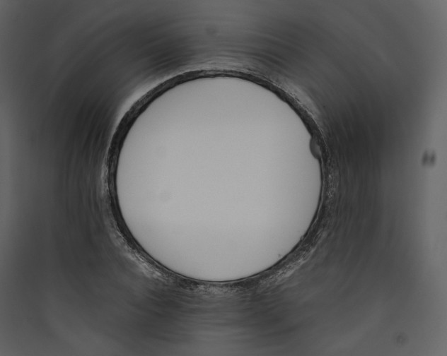 X0000089400928200707131737