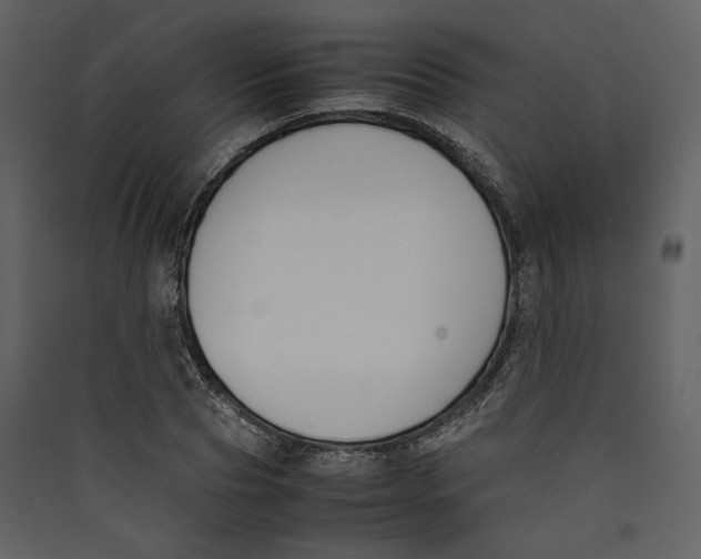 X0000089400929200707131737