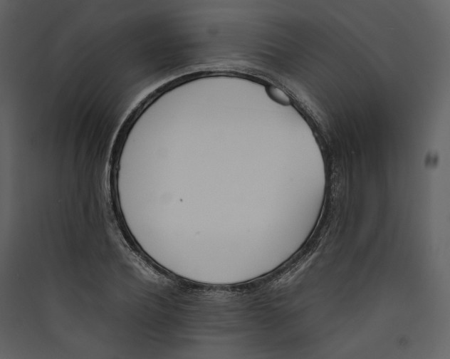 X0000089400932200707131737