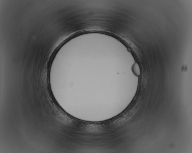 X0000089400933200707131737