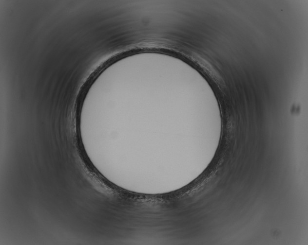 X0000089400934200707131737
